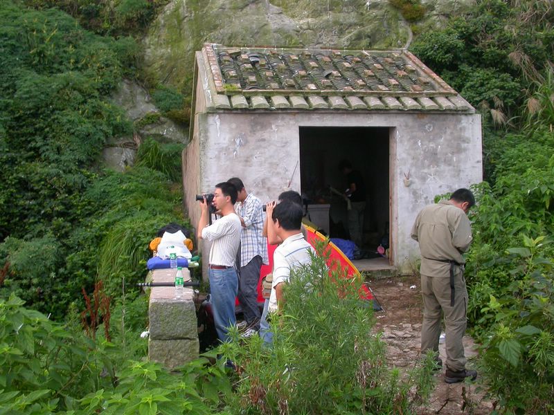 率先发鸟岛考察照片