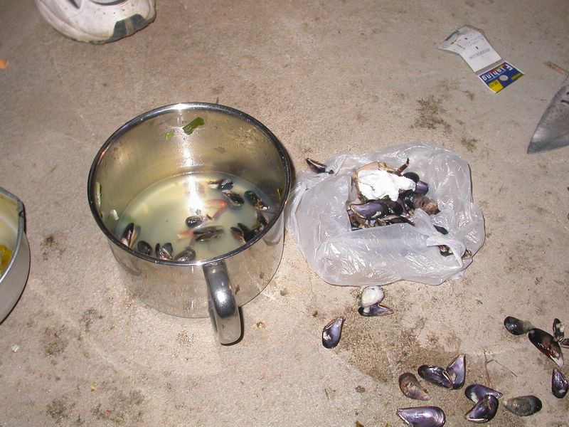 率先发鸟岛考察照片
