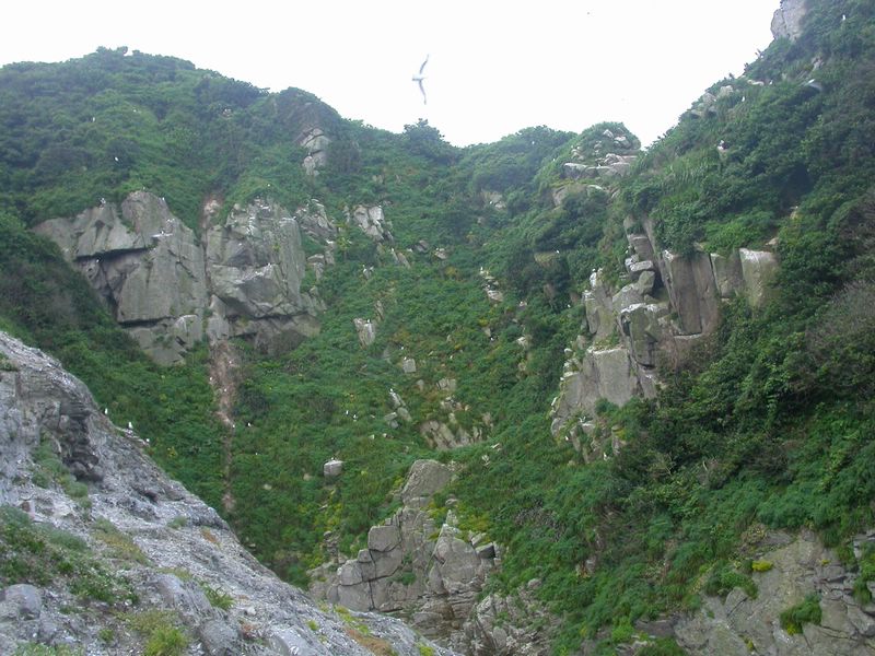 率先发鸟岛考察照片