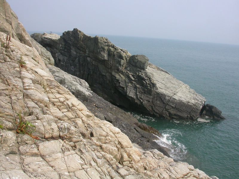 率先发鸟岛考察照片