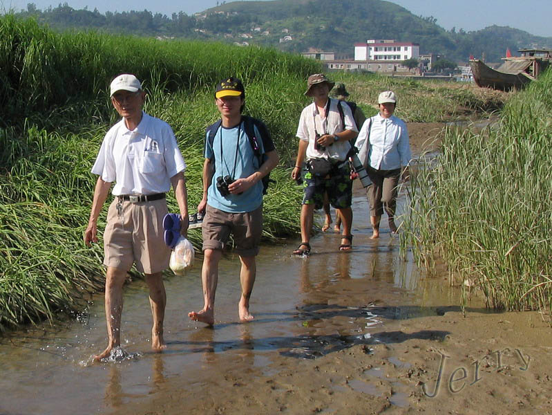 烈日下的鳝鱼滩，鸟与观鸟人——2006.7.2与王岐山教授一起观鸟