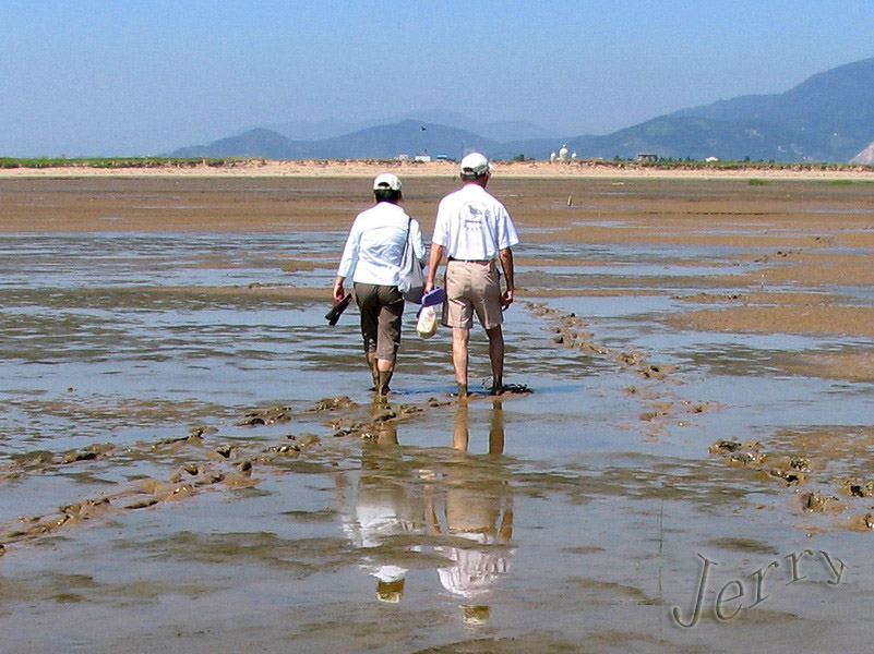 烈日下的鳝鱼滩，鸟与观鸟人——2006.7.2与王岐山教授一起观鸟