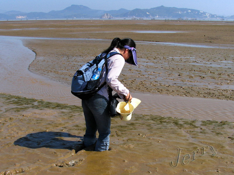 烈日下的鳝鱼滩，鸟与观鸟人——2006.7.2与王岐山教授一起观鸟