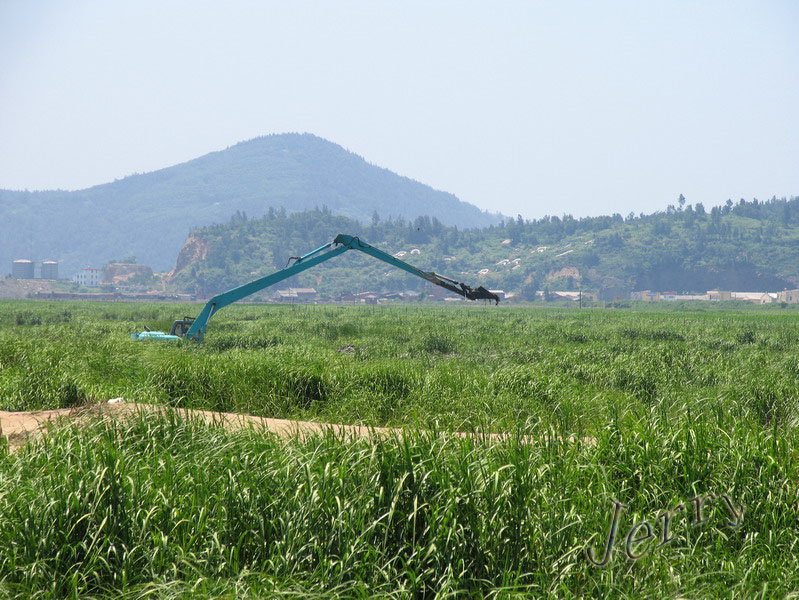 烈日下的鳝鱼滩，鸟与观鸟人——2006.7.2与王岐山教授一起观鸟