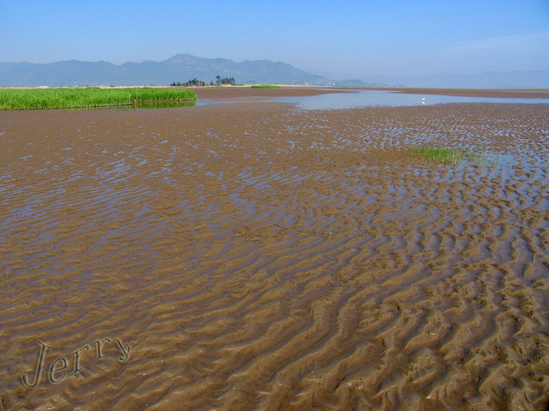 烈日下的鳝鱼滩，鸟与观鸟人——2006.7.2与王岐山教授一起观鸟
