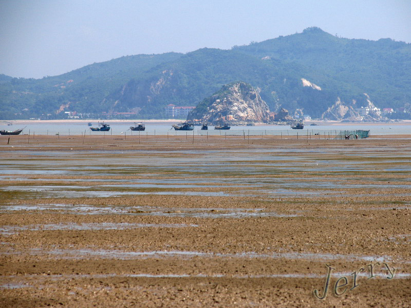 烈日下的鳝鱼滩，鸟与观鸟人——2006.7.2与王岐山教授一起观鸟