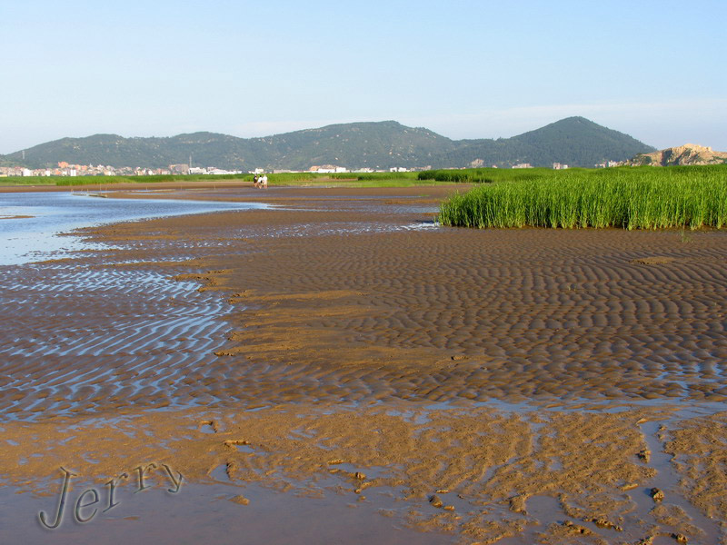 烈日下的鳝鱼滩，鸟与观鸟人——2006.7.2与王岐山教授一起观鸟
