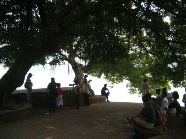820ĵĻƬ