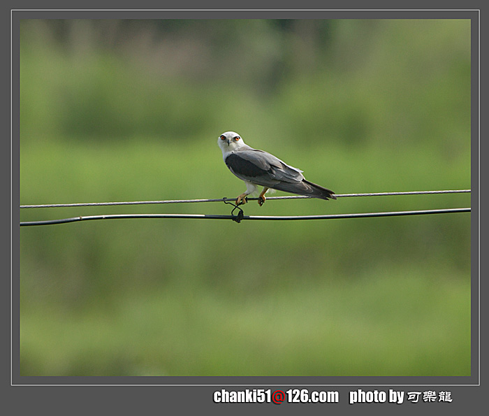 CKI_3882-ok.jpg
