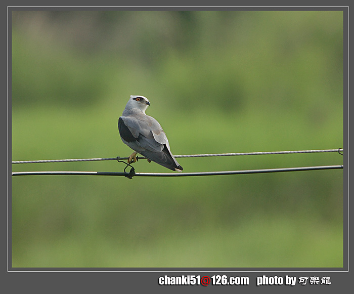Ưĺڳ𰣨Զģʱ뵽500F41.4ͷˡ
