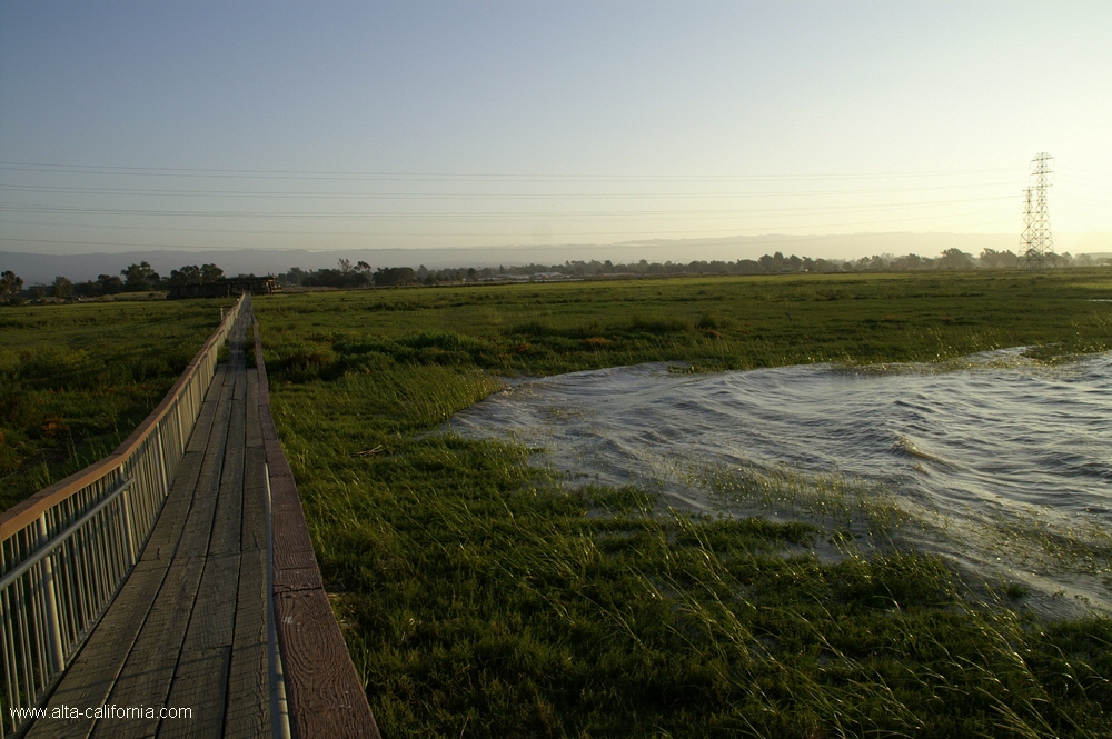bayland007.jpg