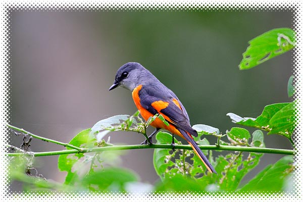 600-ҺɽB-8279.jpg