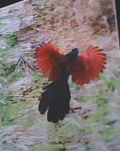 20070728085802.jpg