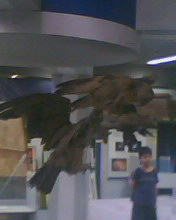 20070727161001.jpg