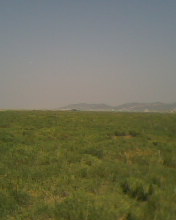 20070729140301.jpg