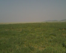 20070729140201.jpg