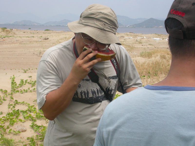 xigua3.jpg