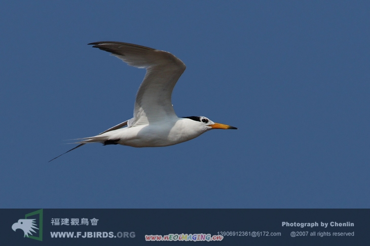 DPP_0031.JPG