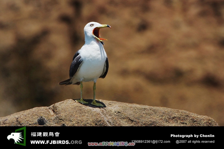 DPP_0008.JPG