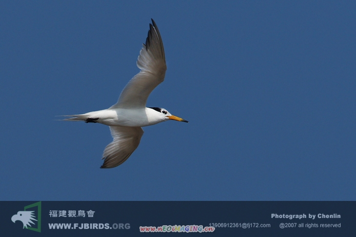DPP_0029.JPG