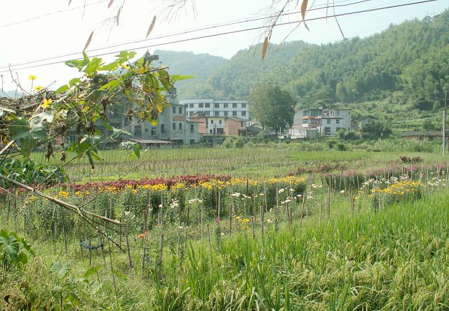 PICT6500.JPG