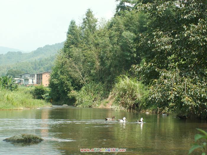 PICT6508.JPG