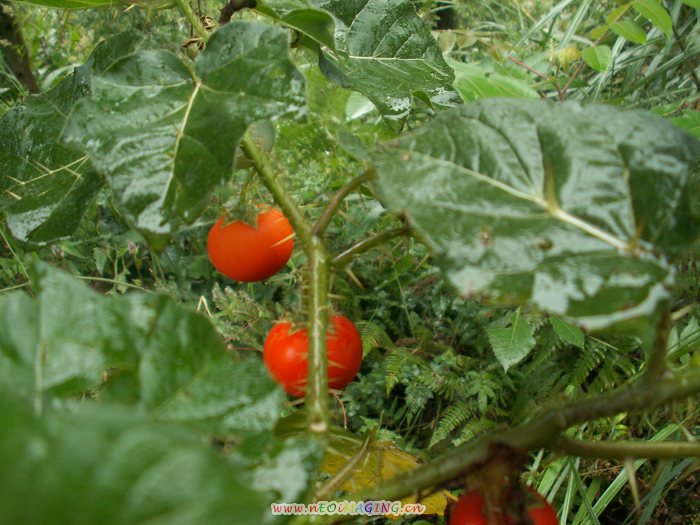 PICT6526.JPG