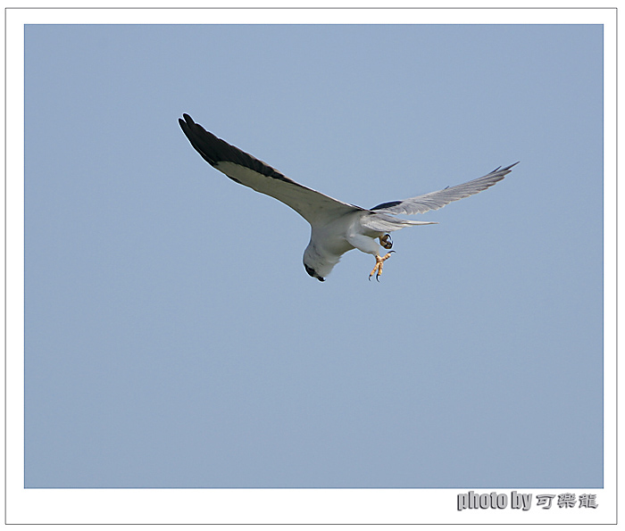 WR9S1604 (1)-ok.jpg