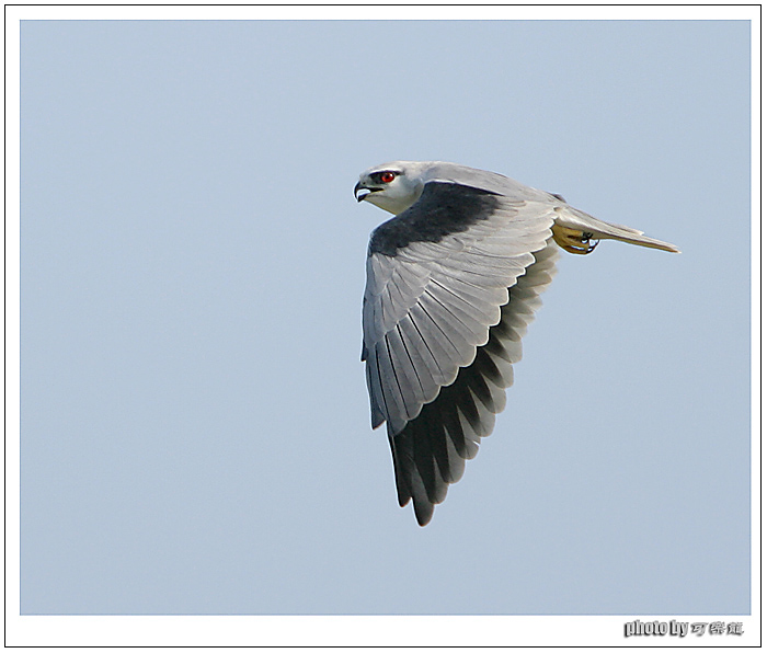 WR9S1626 (1)-ok.jpg