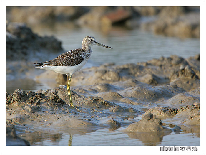 WR9S1664 (1)-ok.jpg
