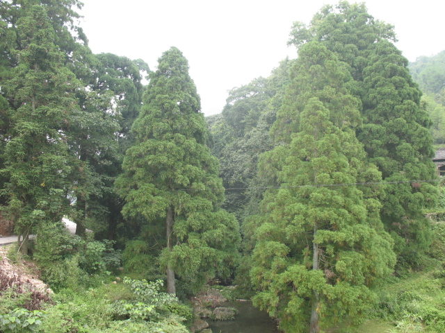 Ƭ 017.jpg