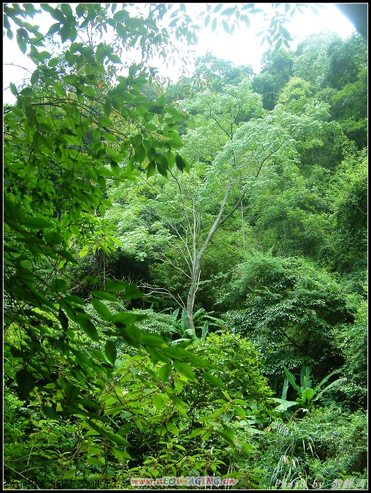 DSCF0095.jpg