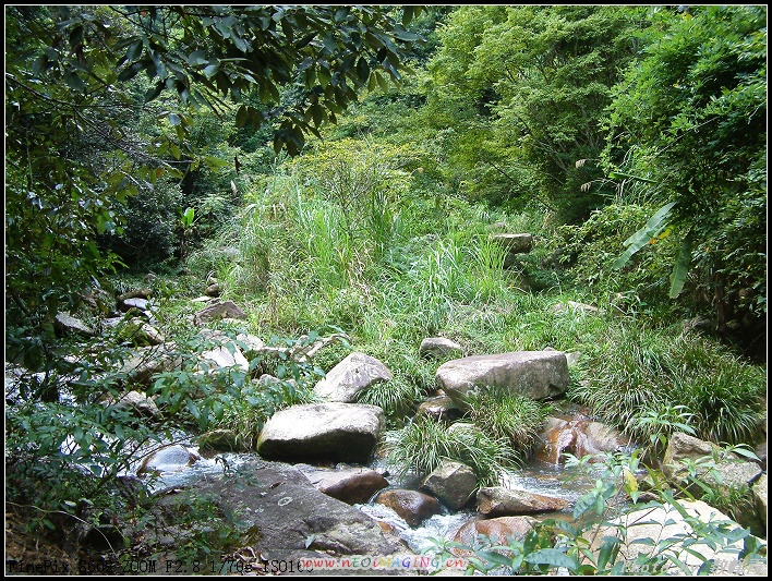 DSCF0089.jpg