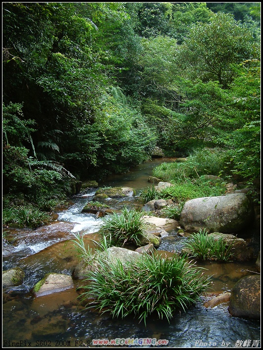 DSCF0148.jpg