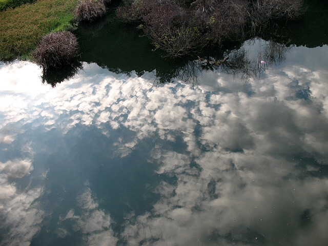 Ƭ 049.jpg