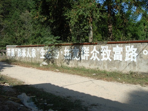 1RIMG0255.jpg