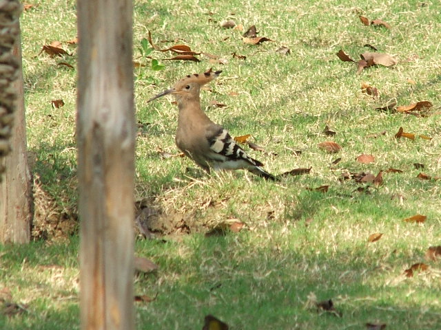 DSCF6424.JPG