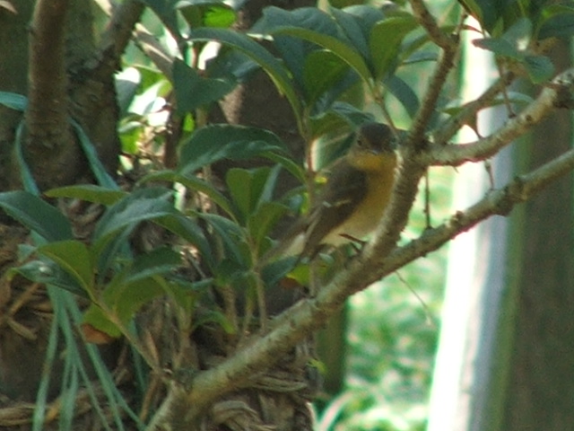 DSCF6439.JPG