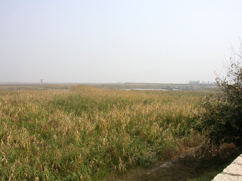 Զݾ.jpg