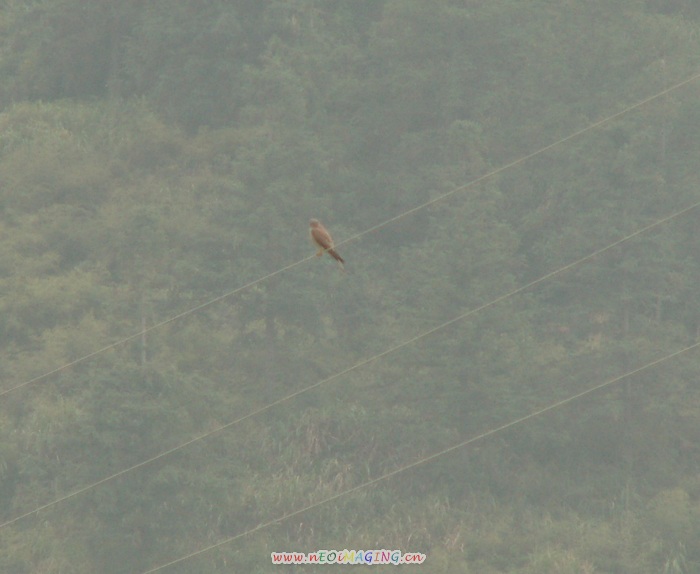 PICT7790.JPG