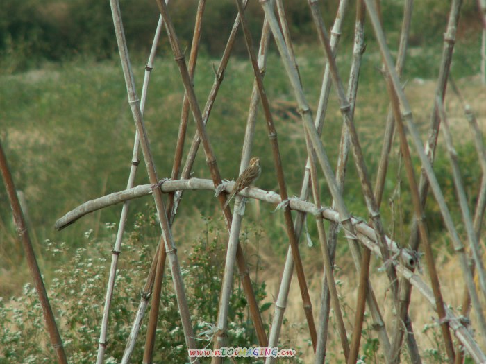 PICT7837.JPG