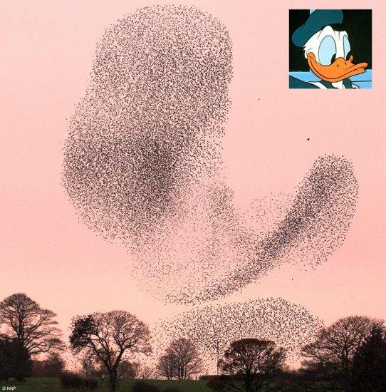 оƬѼ.jpg