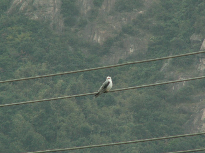 PICT7885.JPG