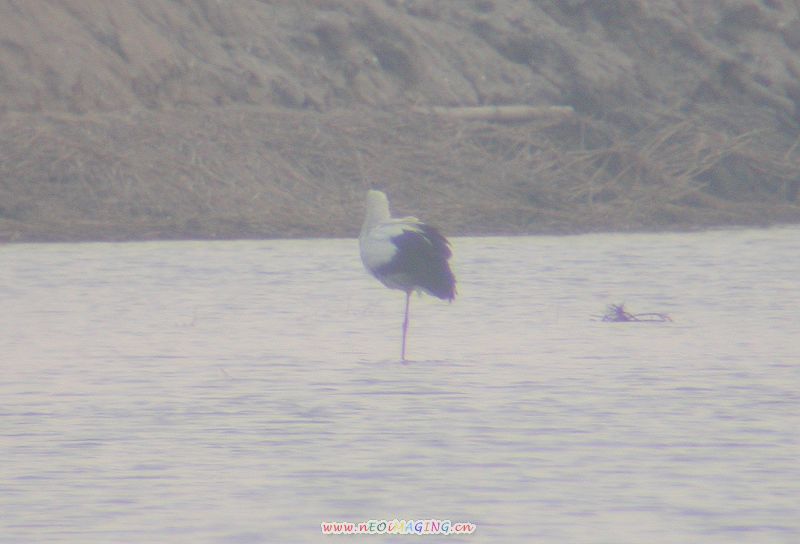 ģ涫.jpg