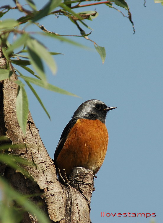 DSC_0224.jpg
