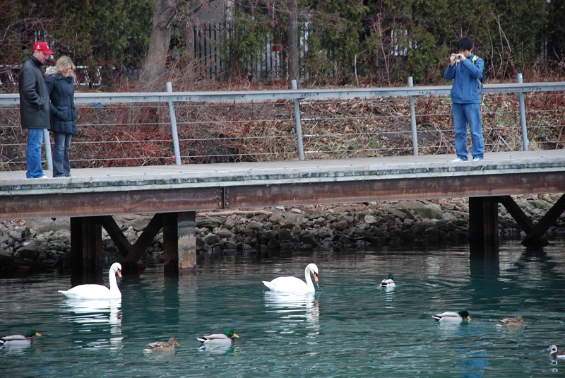 DSC_1051_nEO_IMG.jpg