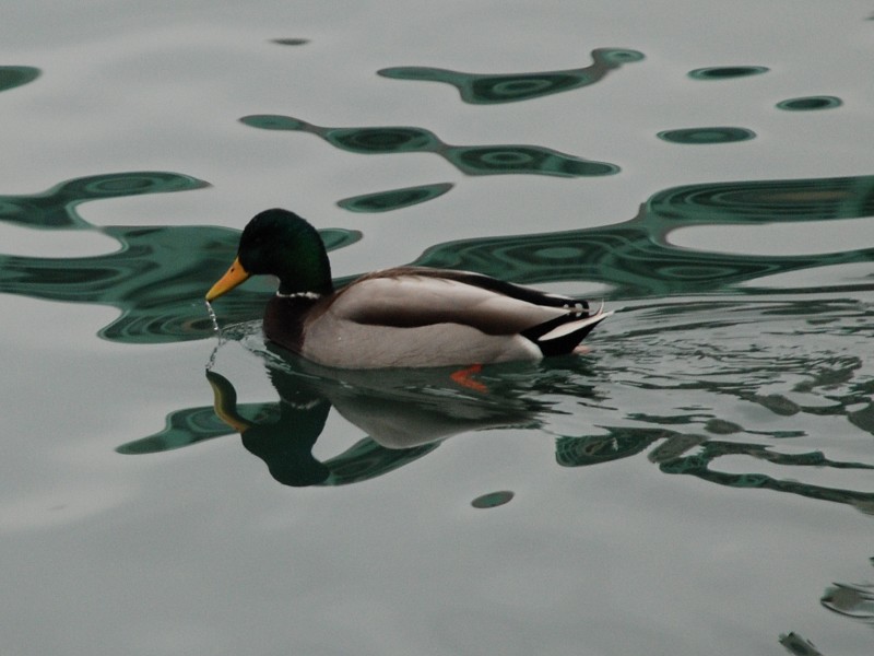 DSC_1023.JPG