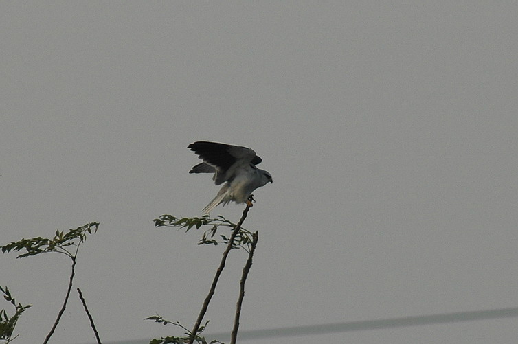 DSC_0179.jpg
