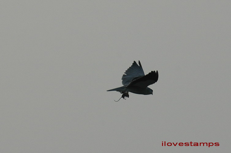 DSC_0158.jpg