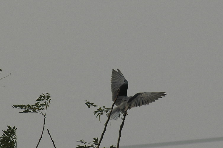 DSC_0180.jpg